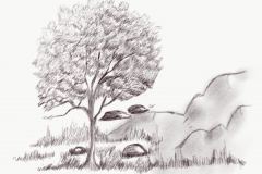 I love Trees