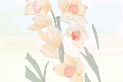 Innocent Flowers