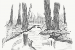 Laura-shared-a-sketch-with-you-14