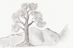 Laura-shared-a-sketch-with-you-17