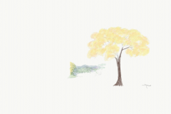Image 101