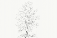 Image 104