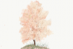 Laura-shared-a-sketch-with-you