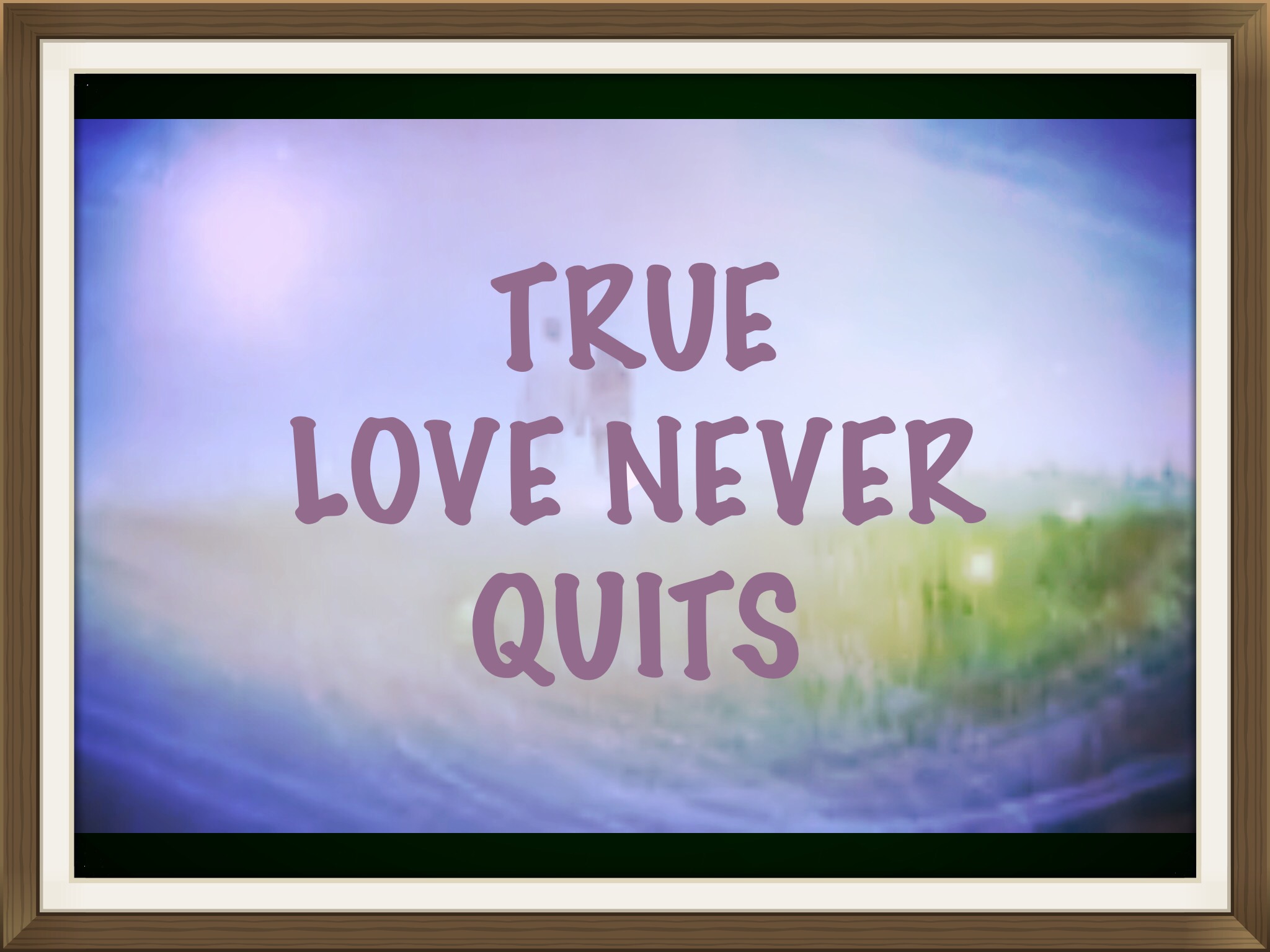 True Love Never Quits