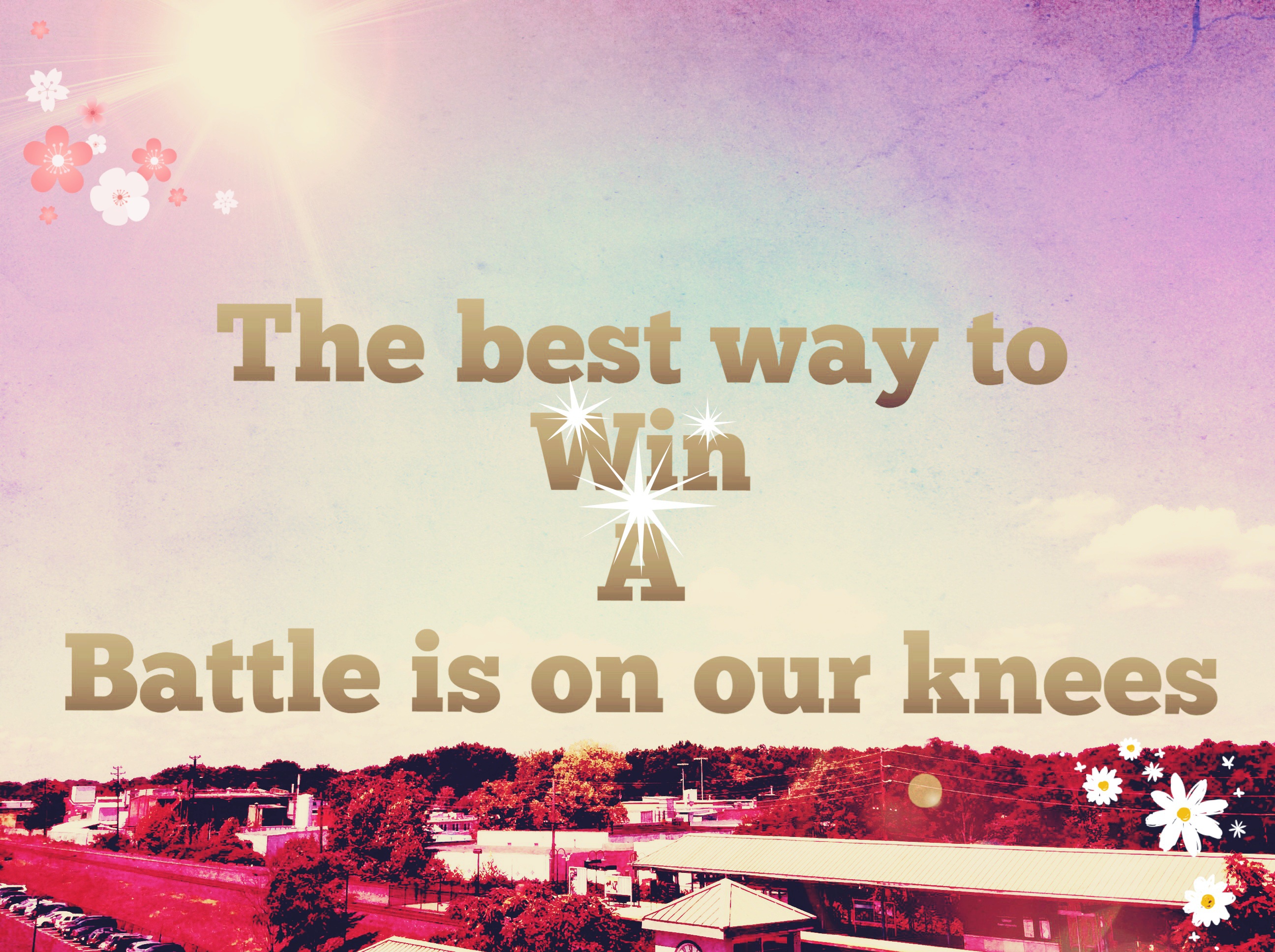 Processed with MOLDIV