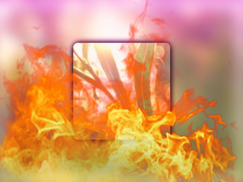 More Precious Than Gold