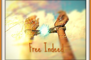 Free Indeed