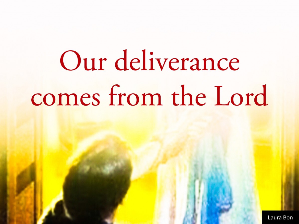 62785432-6b48-4d8b-9787-4b6a8bd172f8