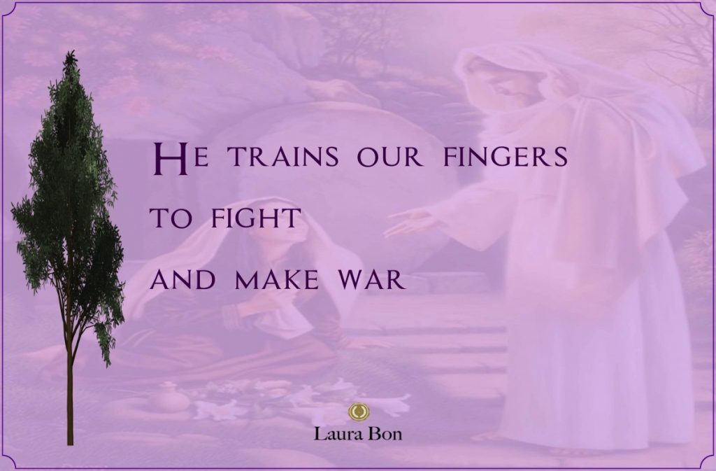 Fight, Don’t Quit