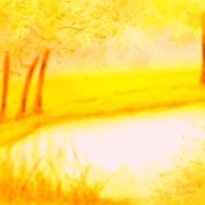 Abstract Digital Landscape Design