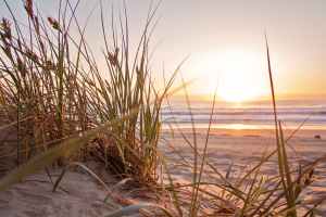 The Holy Spirt Fortifies Your Soul