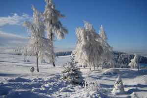 God Does Not Live In Bottles Of Water, Oil and Handkerchiefs