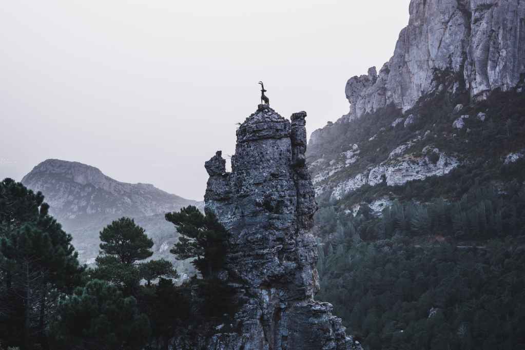 Seek God’s Face Seek God’s Face