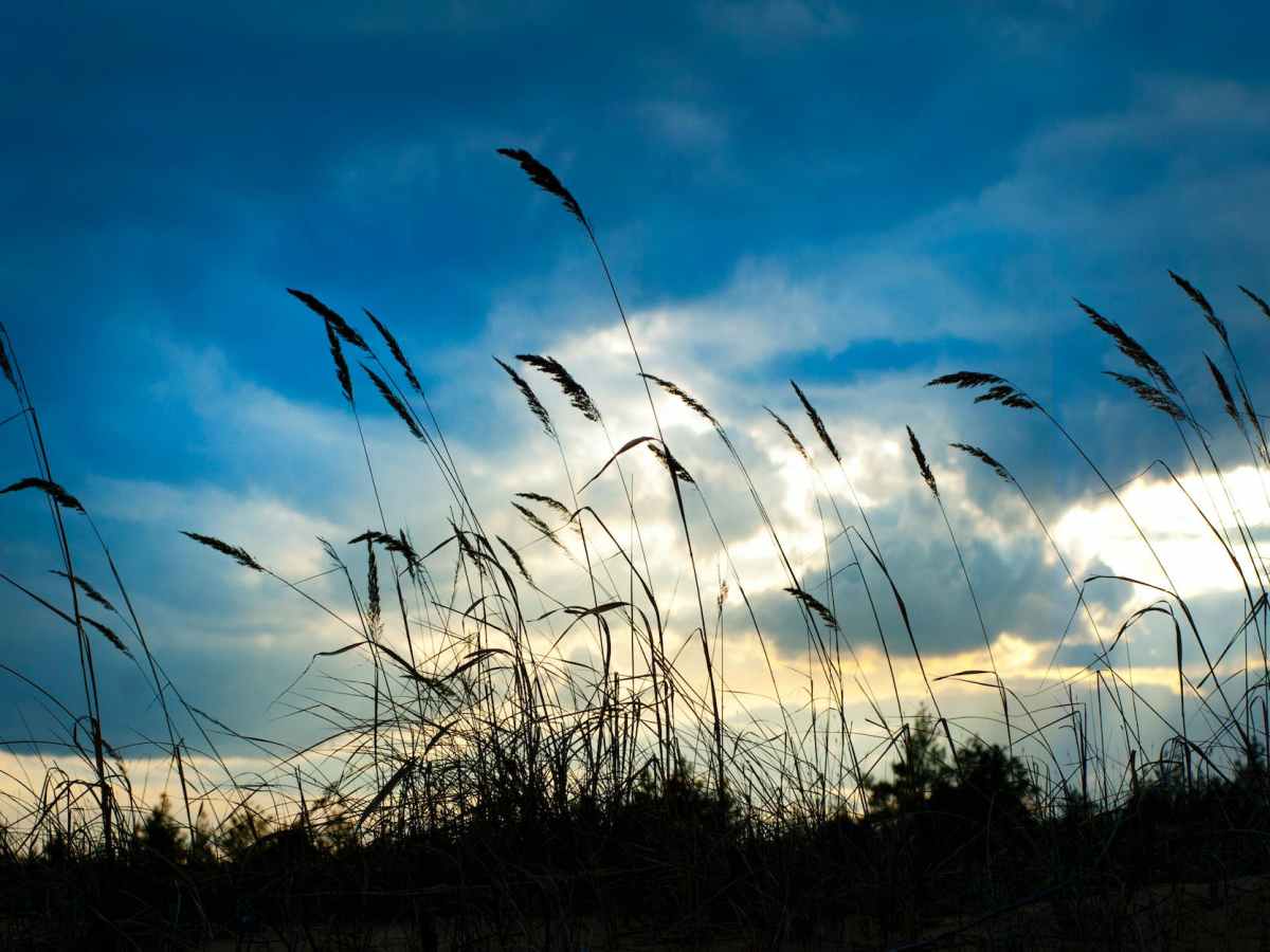 DO NOT TOLERATE DISRESPECT IN YOUR RELATIONSHIP WITH PEOPLE