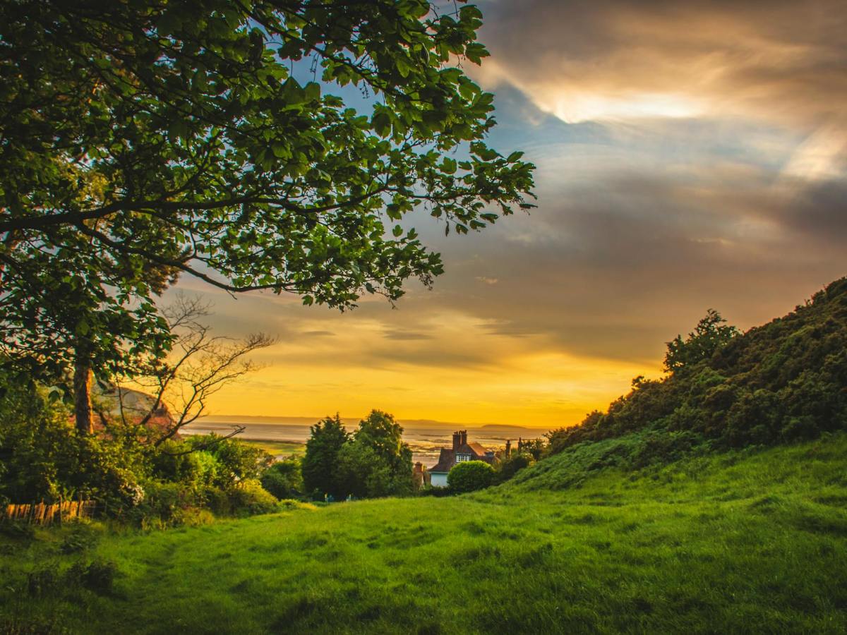 20 THINGS GOD SAYS ABOUT YOU