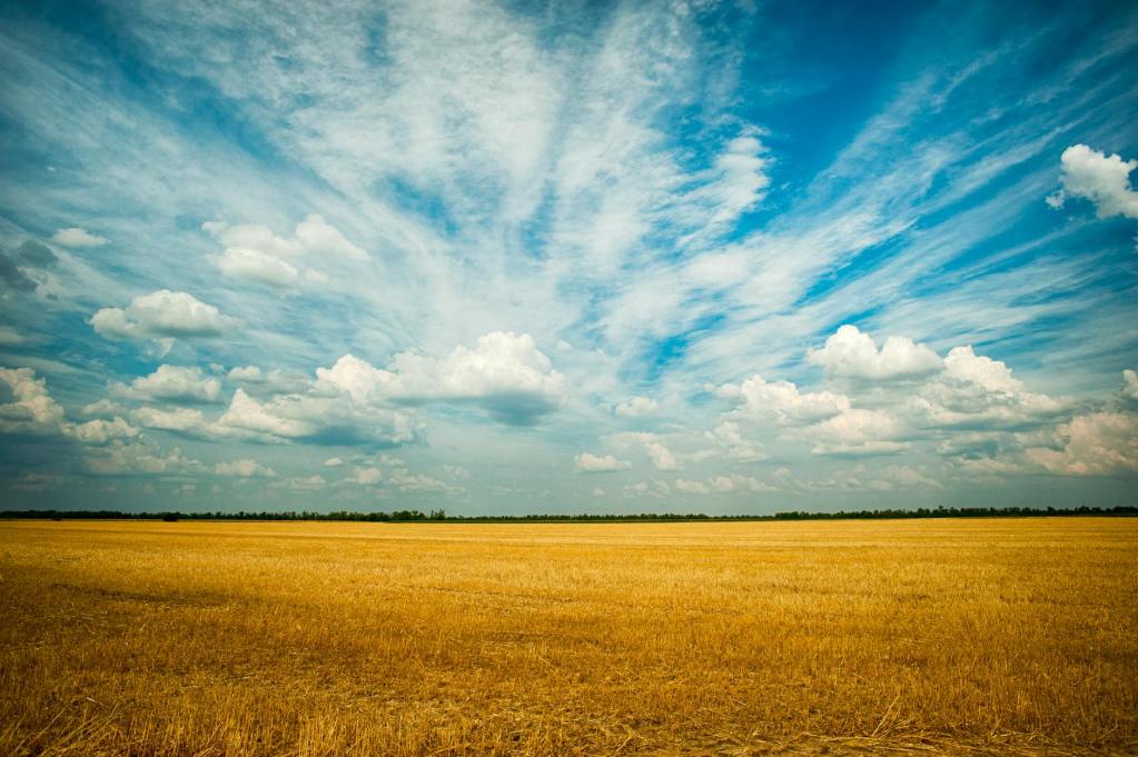 DO ANYTHING AND EVERYTHING TO ESCAPE POVERTY