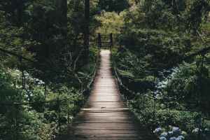 Most Christians are fighting the wrong enemy