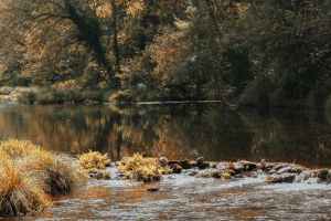 Sacrifices That Please God According to the Bible (Complete Guide)