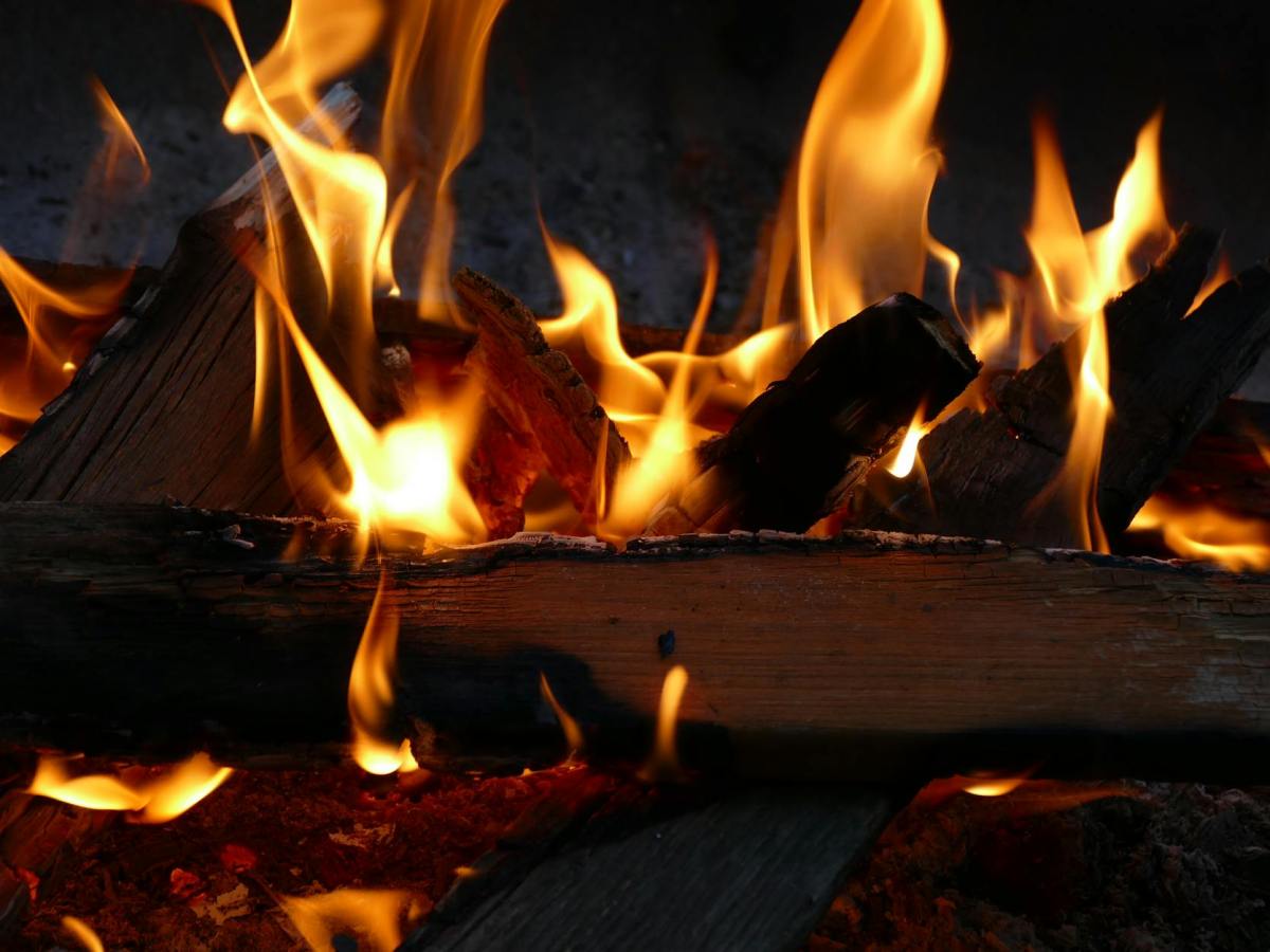 Upload Your Problem From the Root and Throw It Into the Fire
