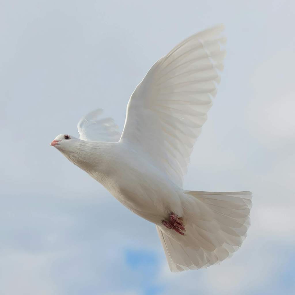 Holiness Is of the Spirit Holiness Is of the Spirit