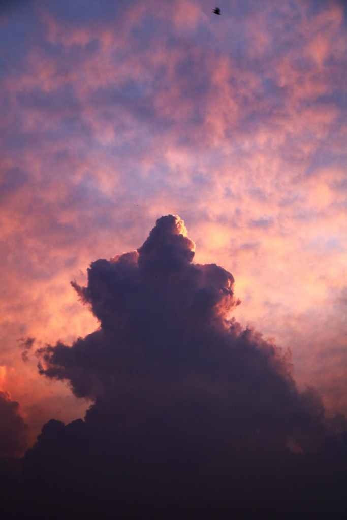 How to Avoid Spiritual Weakness: Renew Your Strength Daily in Christ