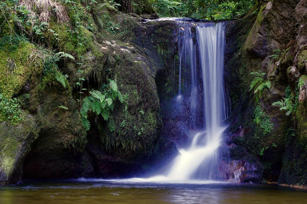 There Is Complete Peace in the Perfect Will of God